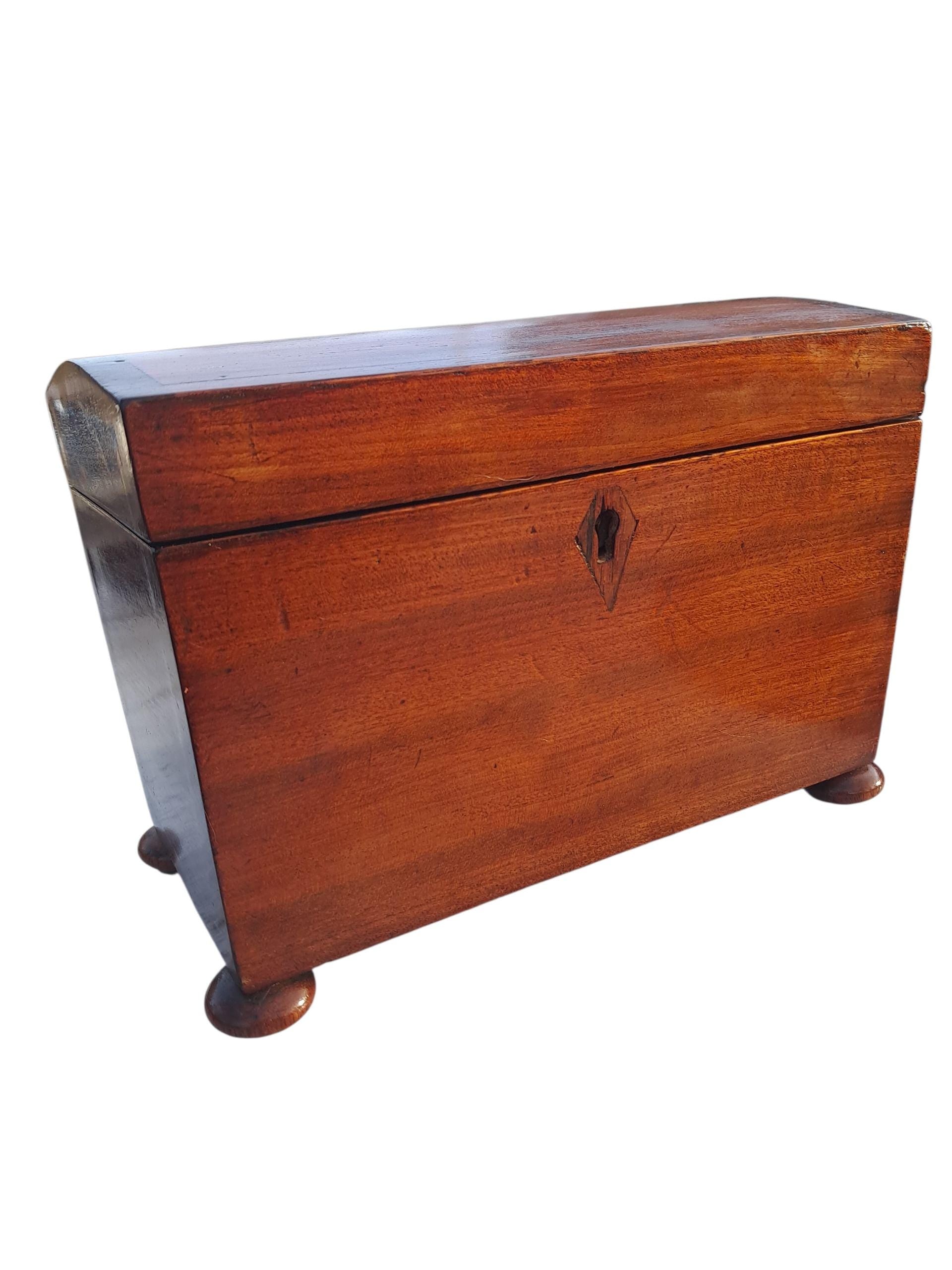 Antique Rosewood Tea Caddy, English Georgian Mahogany Veneer