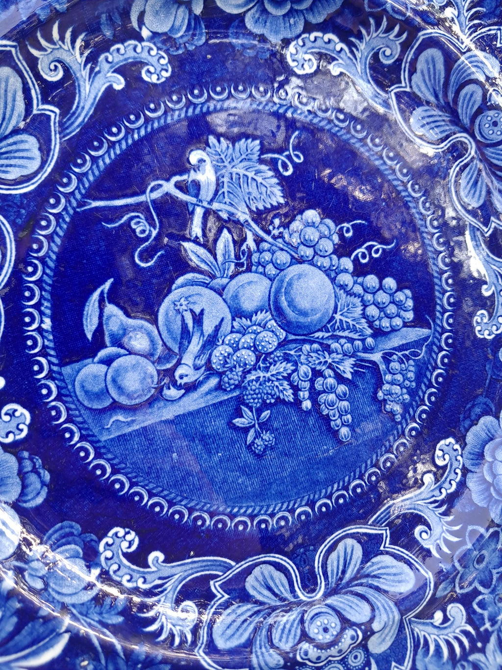 Staffordshire Historical Transferware Plate 9 Plus Inches Birds and Fruit