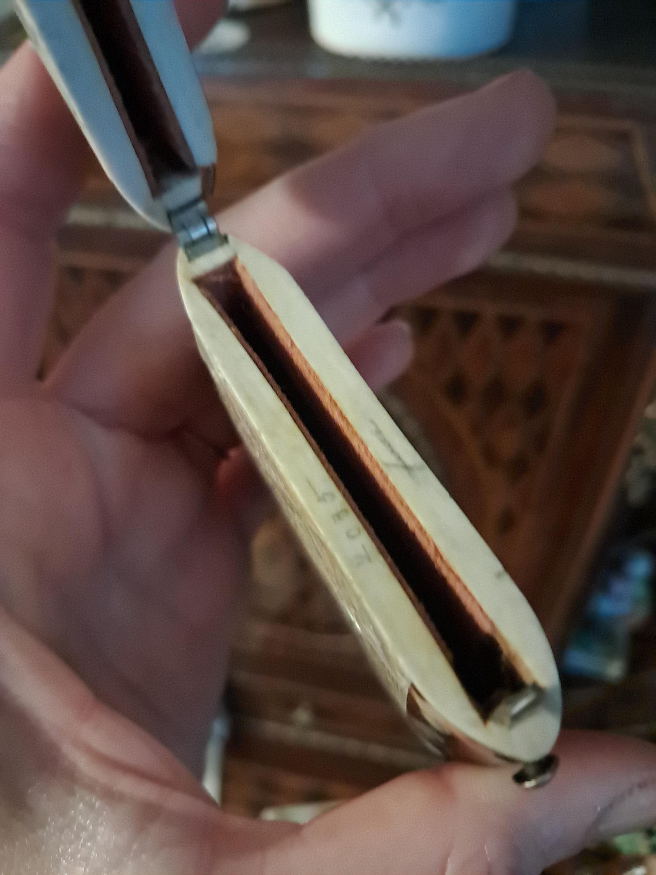 Antique Faux Tortoiseshell and Mother of Pearl Calling Card Case