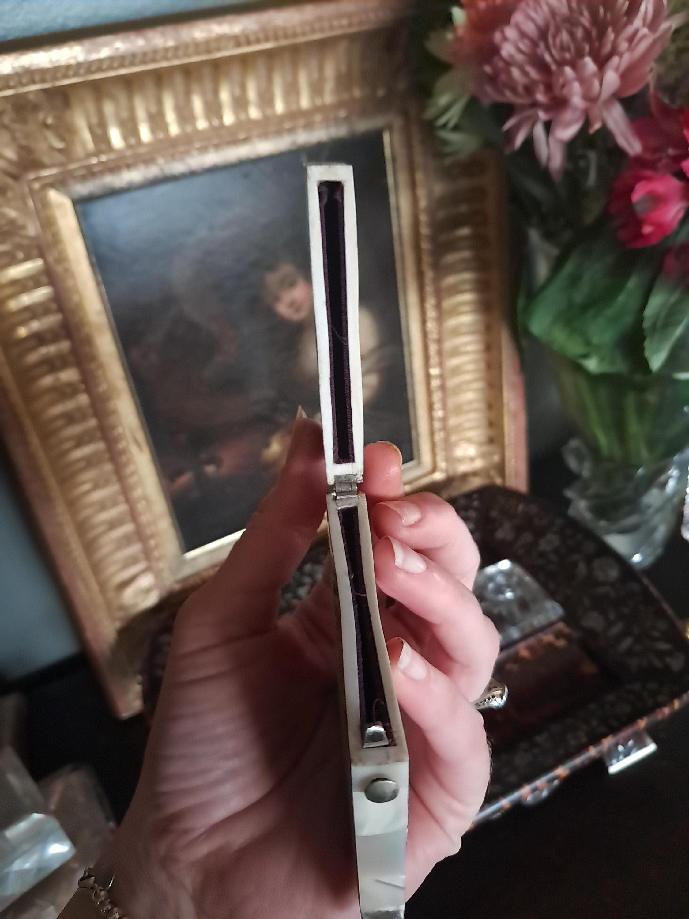 Stunning Faux Tortoiseshell and Mother of Pearl Calling Card Case