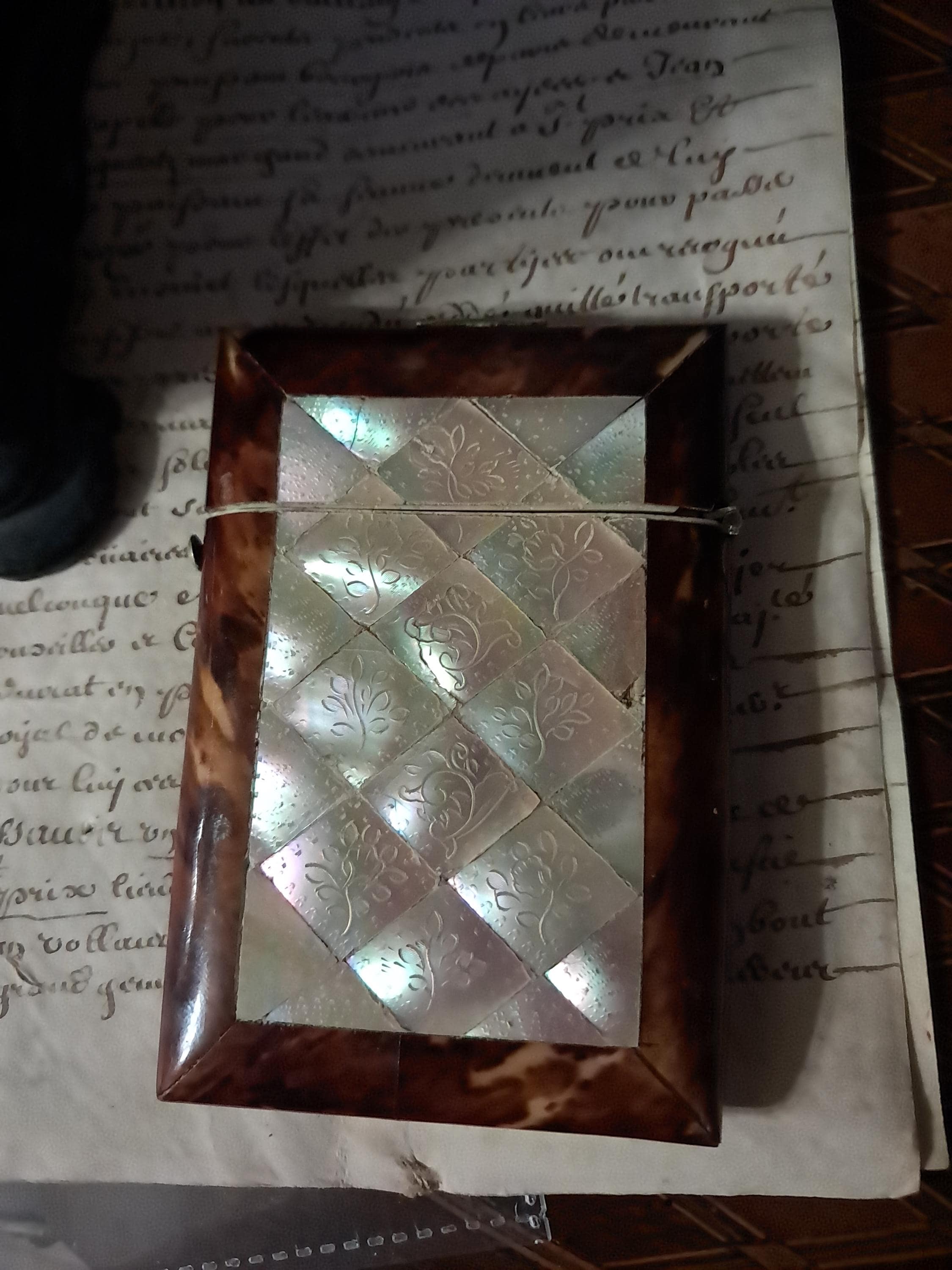 Antique Faux Tortoiseshell and Mother of Pearl Calling Card Case