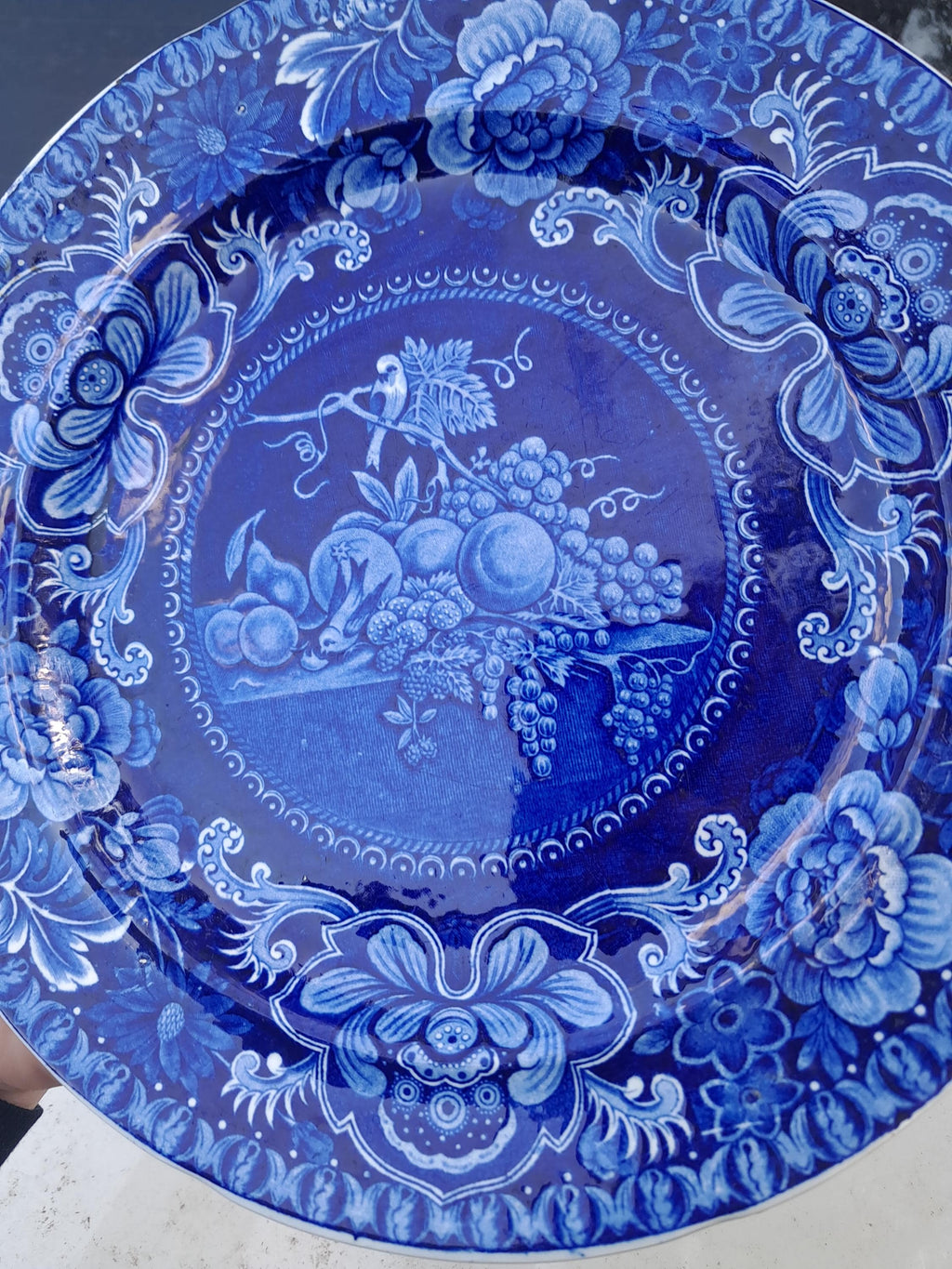 Staffordshire Historical Transferware Plate 9 Plus Inches Birds and Fruit