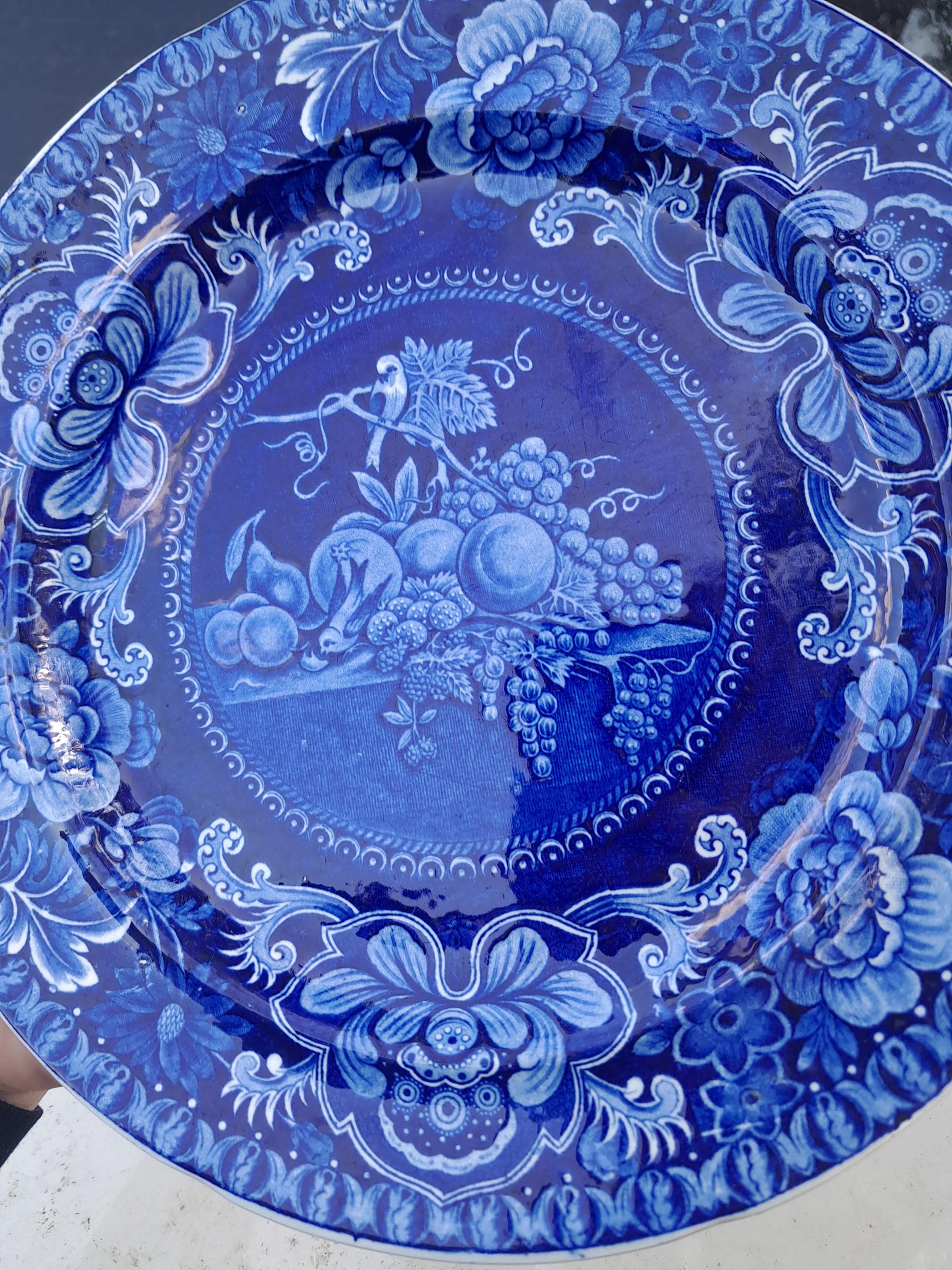 Staffordshire Historical Transferware Plate 9 Plus Inches Birds and Fruit