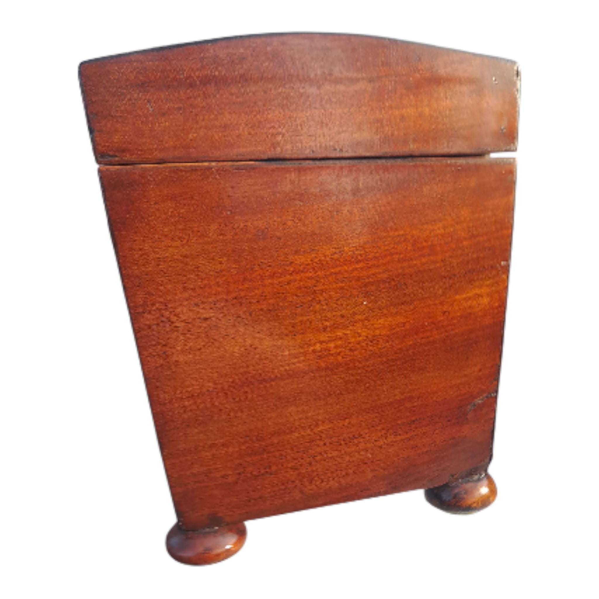 Antique Rosewood Tea Caddy, English Georgian Mahogany Veneer